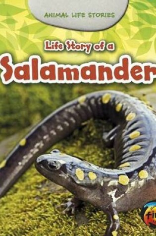 Cover of Life Story of a Salamander (Animal Life Stories)
