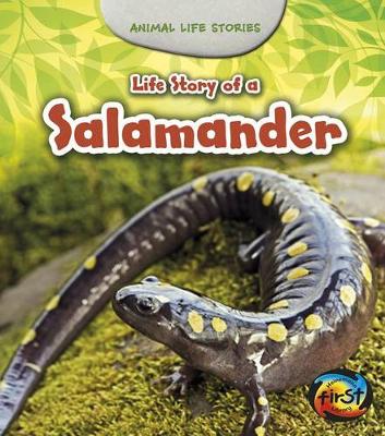 Book cover for Animal Life Stories Life Story of a Salamander