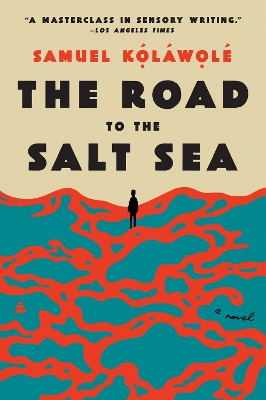 Book cover for The Road to the Salt Sea