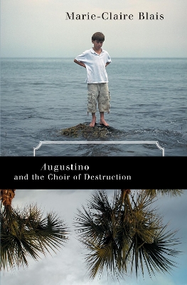 Book cover for Augustino and the Choir of Destruction