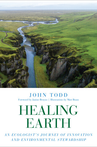 Cover of Healing Earth