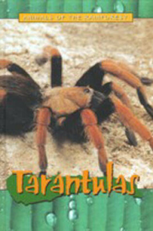 Cover of Animals of the Rainforest: Tarantulas