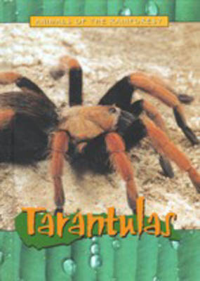 Book cover for Animals of the Rainforest: Tarantulas