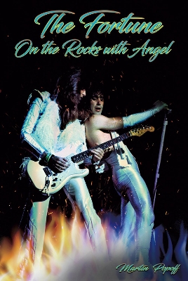 Book cover for The Fortune: On the Rocks with Angel