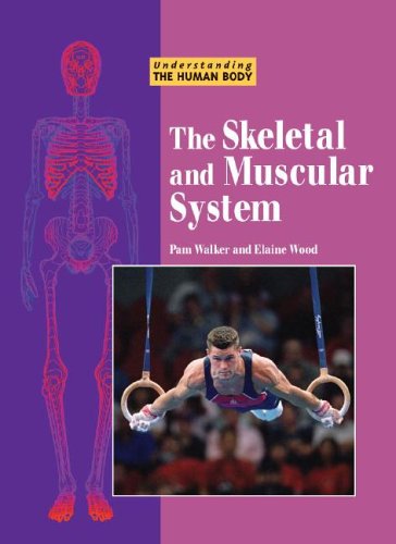 Book cover for The Skeletal and Muscular System