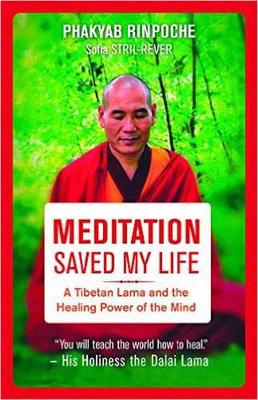 Book cover for Meditation Saved My Life