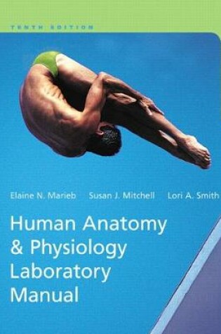 Cover of Human Anatomy & Physiology Laboratory Manual, Main Version (Subscription)