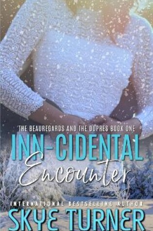 Cover of Inn-cidental Encounter