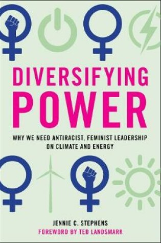 Cover of Diversifying Power