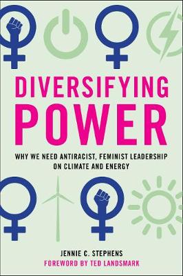 Book cover for Diversifying Power