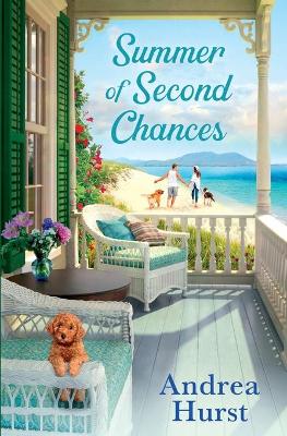 Book cover for Summer of Second Chances
