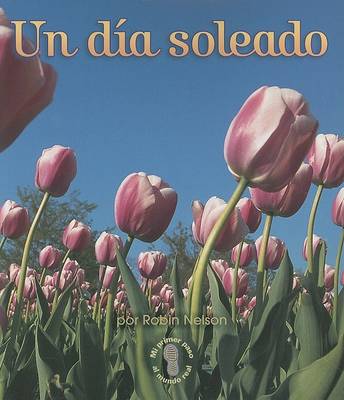 Book cover for Un Dia Soleado