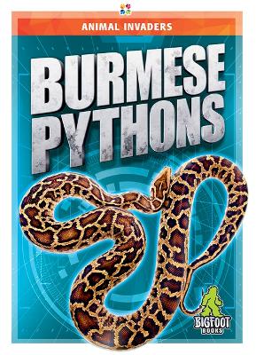 Book cover for Burmese Pythons