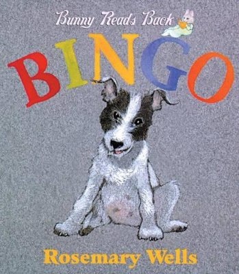 Book cover for Bingo Board Book
