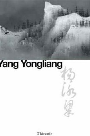 Cover of Yang Yongliang: New Landscapes