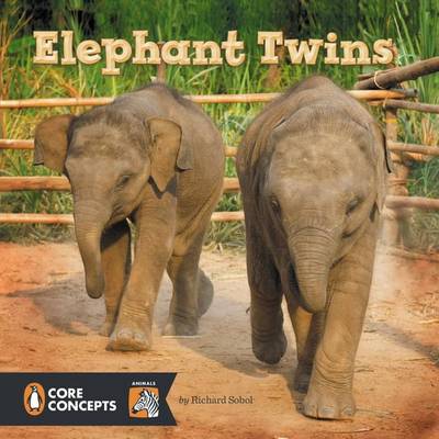 Book cover for Elephant Twins