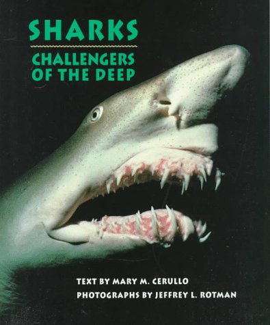 Book cover for Cerullo & Rotman : Sharks (HB)
