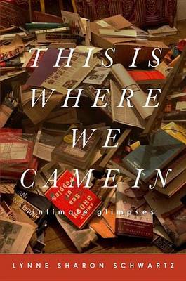 Book cover for This Is Where We Came in