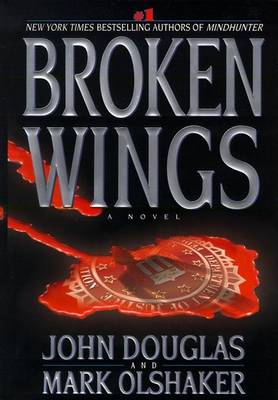 Book cover for Broken Wings