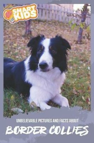 Cover of Unbelievable Pictures and Facts About Border Collies