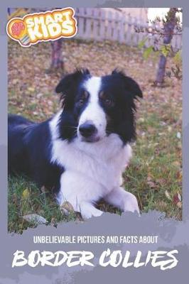 Book cover for Unbelievable Pictures and Facts About Border Collies