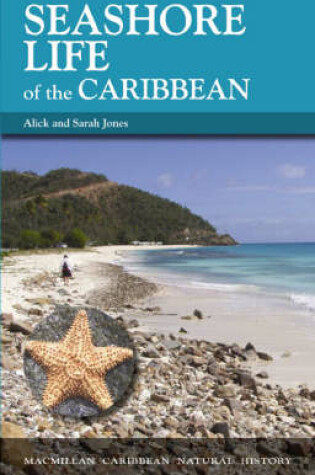 Cover of Seashore Life of the Caribbean