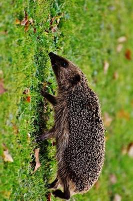 Book cover for A Hedgehog On the Loose in the Park Journal