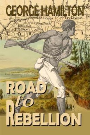 Cover of Road to Rebellion