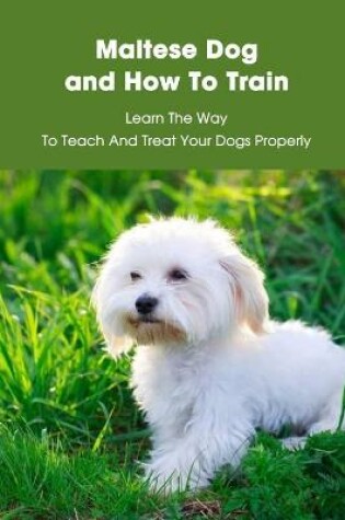 Cover of Maltese Dog and How To Train