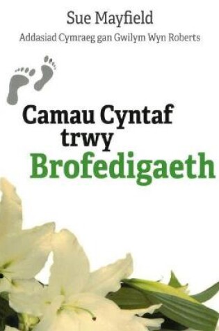 Cover of Camau Cyntaf trwy Brofedigaeth
