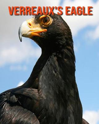 Book cover for Verreaux's Eagle