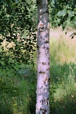 Book cover for Birch Tree in the Summer Woods Journal