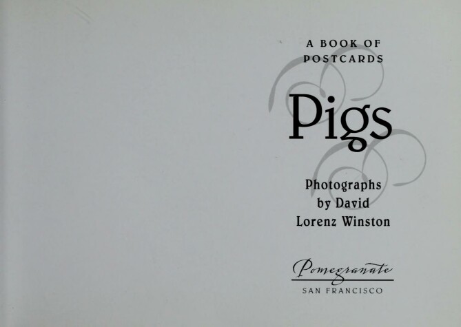 Book cover for Pigs