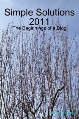 Cover of Simple Solutions 2011: The Beginnings of a Blog