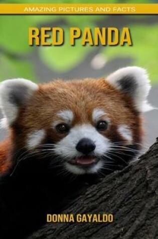 Cover of Red panda