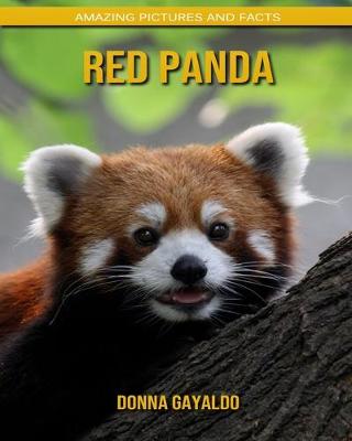 Book cover for Red panda