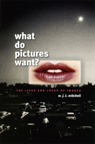 Cover of What Do Pictures Want?