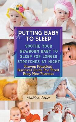 Book cover for Putting Baby To Sleep