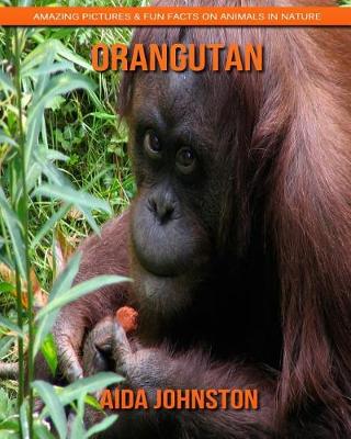 Book cover for Orangutan