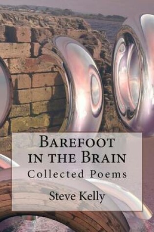 Cover of Barefoot in the Brain