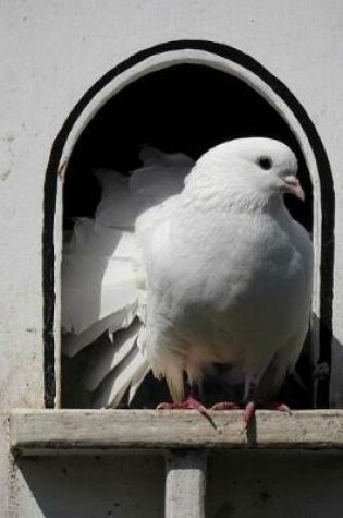 Cover of White Dove in a Dovecote Aviary Bird Journal