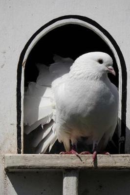 Book cover for White Dove in a Dovecote Aviary Bird Journal