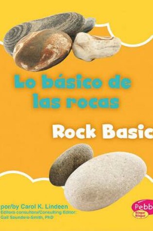 Cover of Lo Básico de Las Rocas/Rock Basics