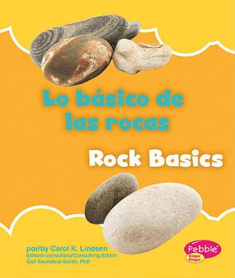 Book cover for Lo Básico de Las Rocas/Rock Basics