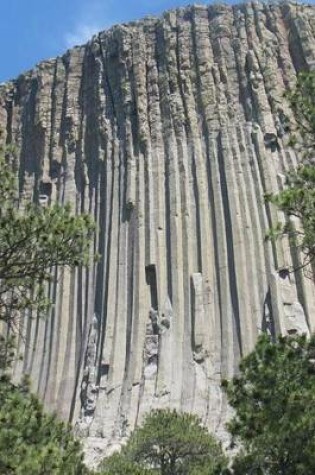 Cover of Devil's Tower Mountain in Utah