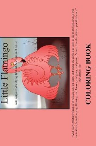 Cover of Little Flamingo Coloring Book
