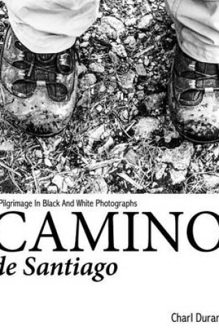 Cover of Camino de Santiago