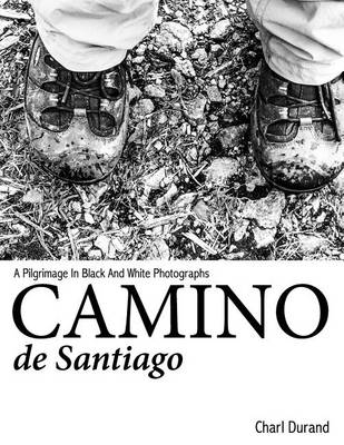 Book cover for Camino de Santiago