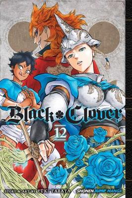 Book cover for Black Clover, Vol. 12