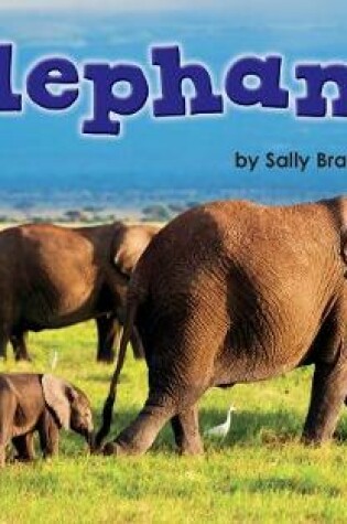 Cover of Elephants